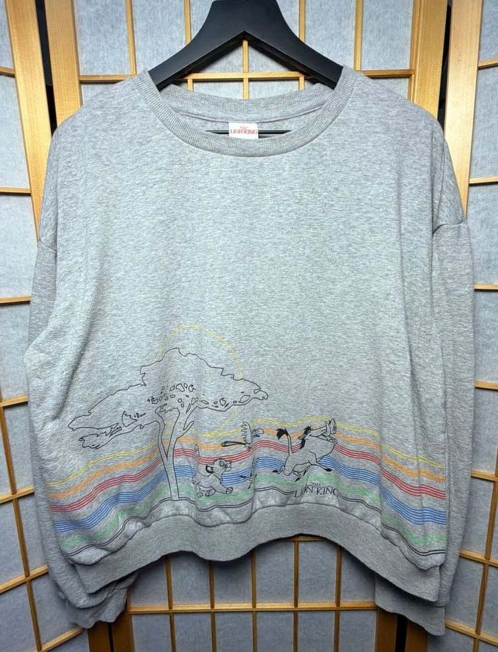 Disney The Lion King Sweatshirt Size XXL Gray Cropped Rainbow Simba